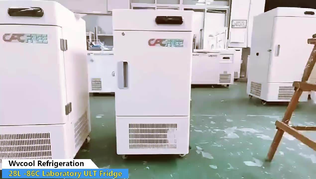 -86 Grad Mini Labor aufrecht Ultra Tiefe Temperatur Gefrierschrank