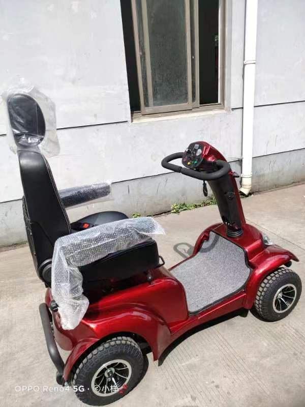 elektrischer Roller (7)